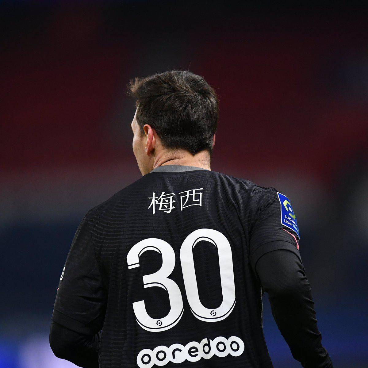 的瑞士国